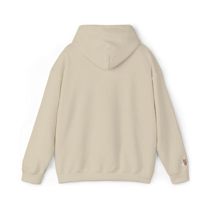 USA embroidered hoodie - MOD 250