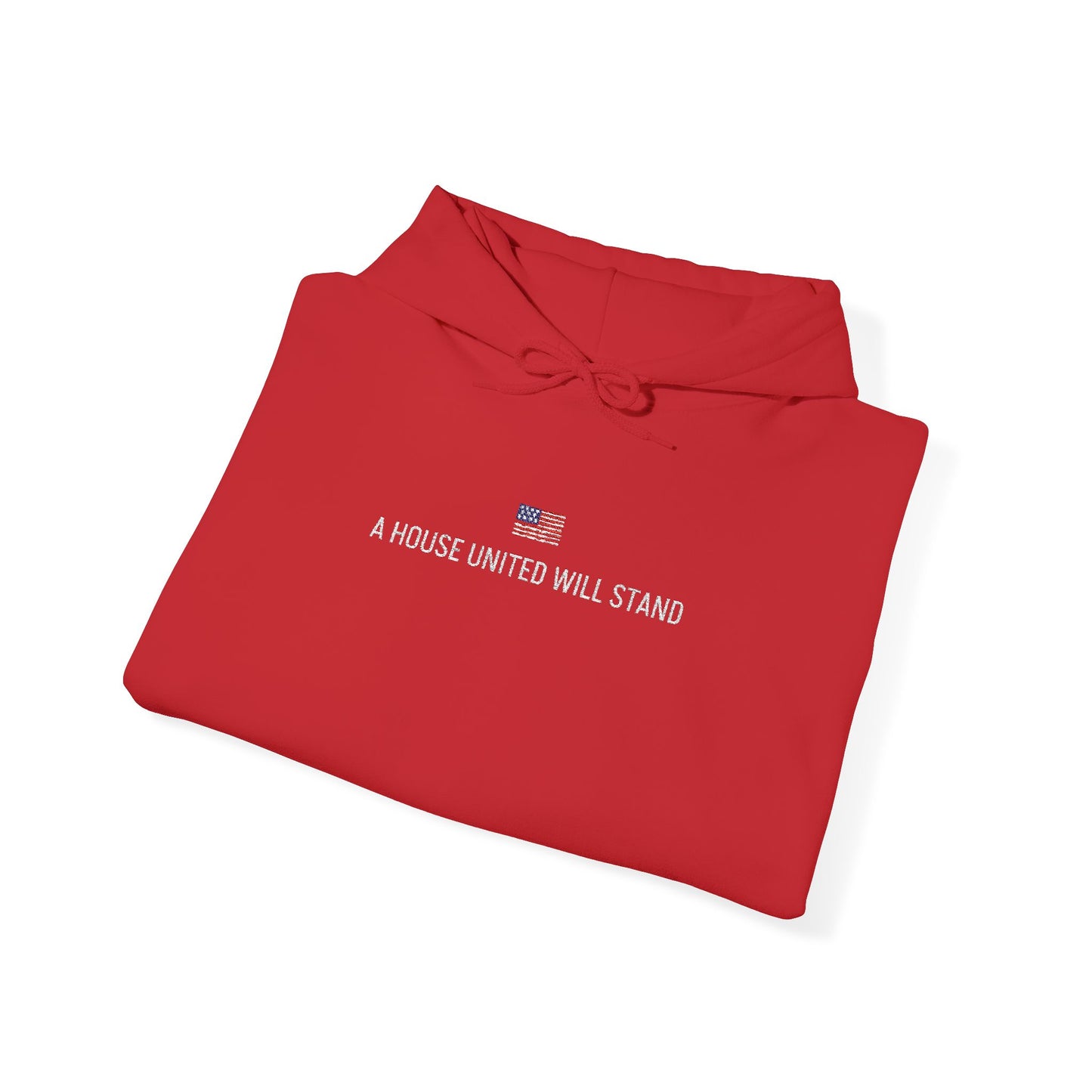 USA embroidered hoodie - MOD 250