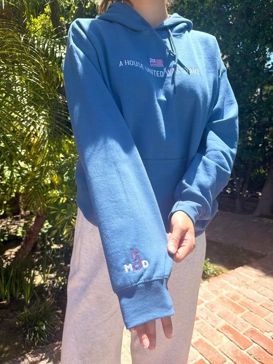 USA embroidered hoodie - MOD 250