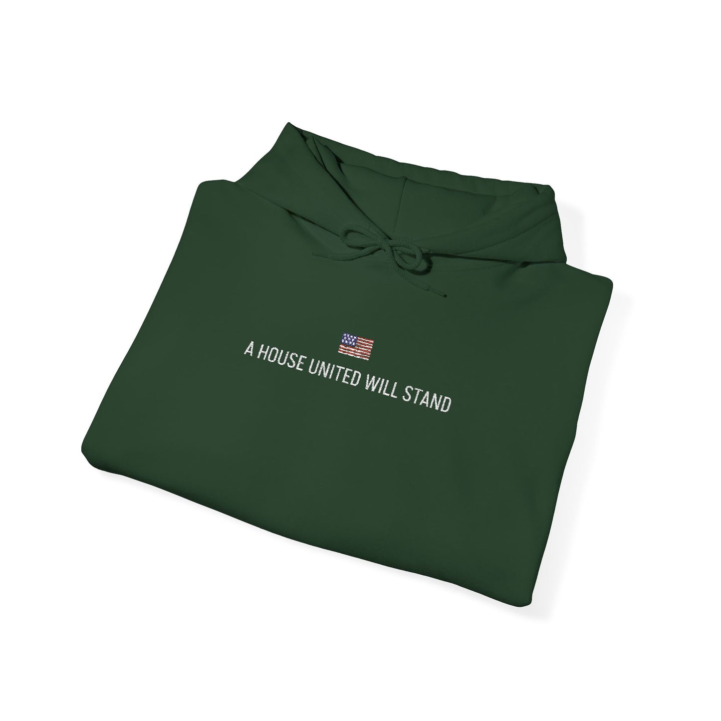 USA embroidered hoodie - MOD 250