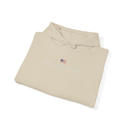 USA embroidered hoodie - MOD 250