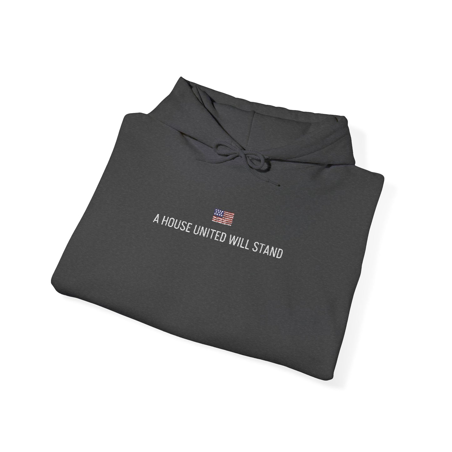USA embroidered hoodie - MOD 250
