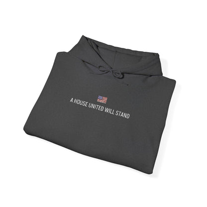 USA embroidered hoodie - MOD 250