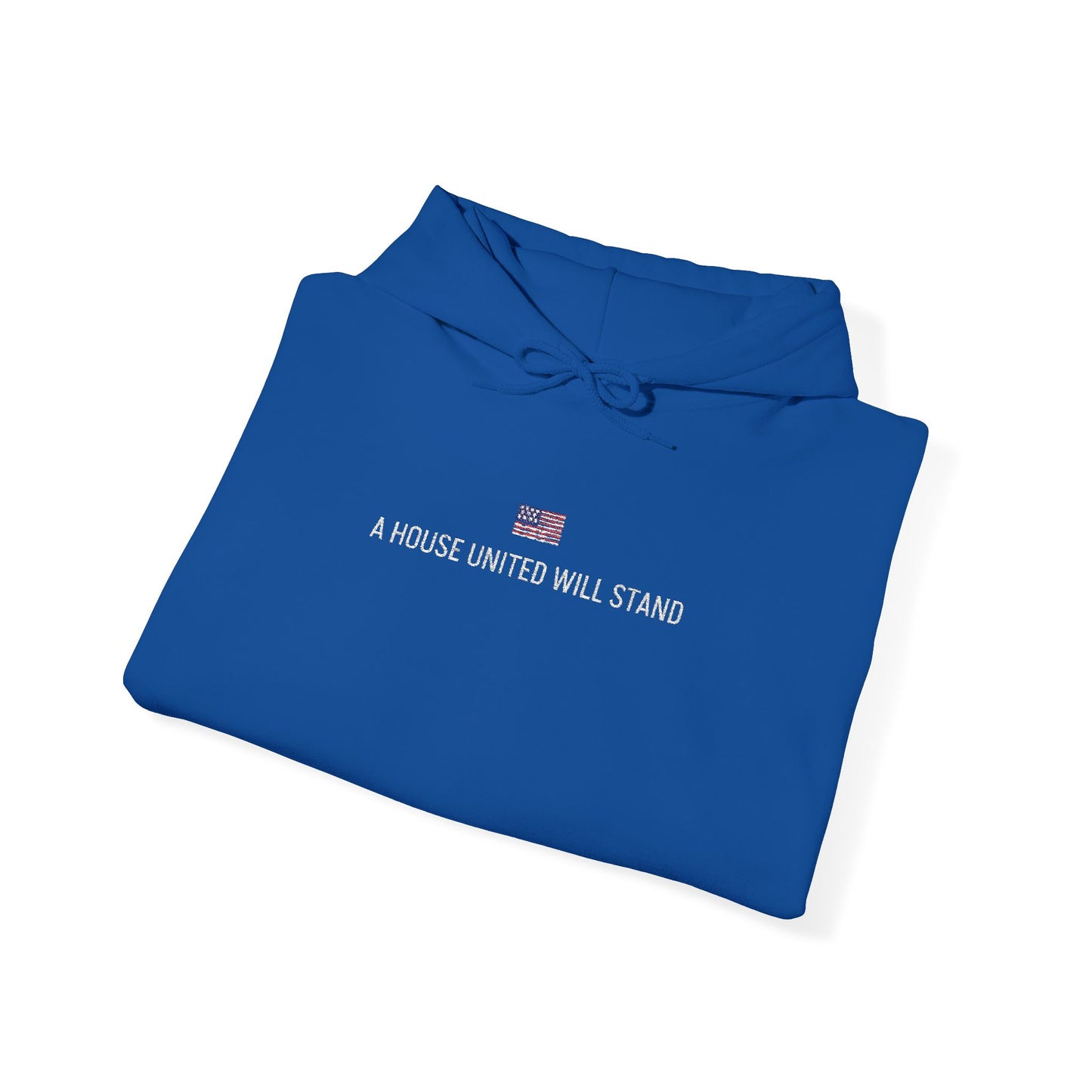 USA embroidered hoodie - MOD 250