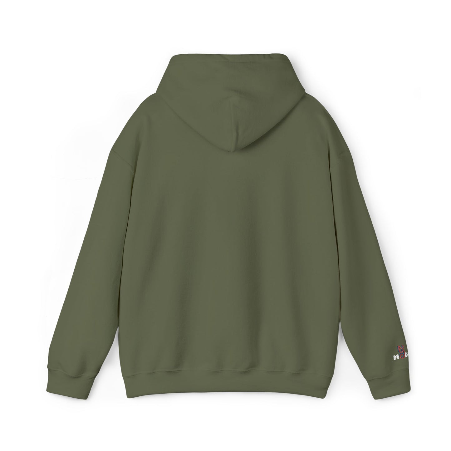 USA embroidered hoodie - MOD 250