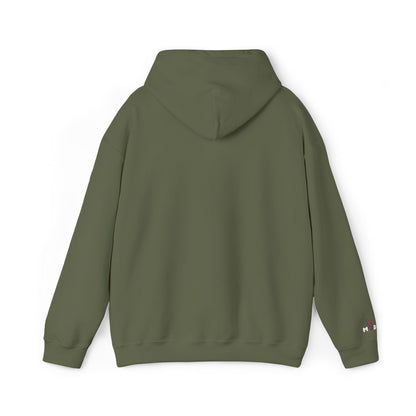 USA embroidered hoodie - MOD 250