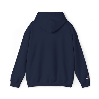 USA embroidered hoodie - MOD 250
