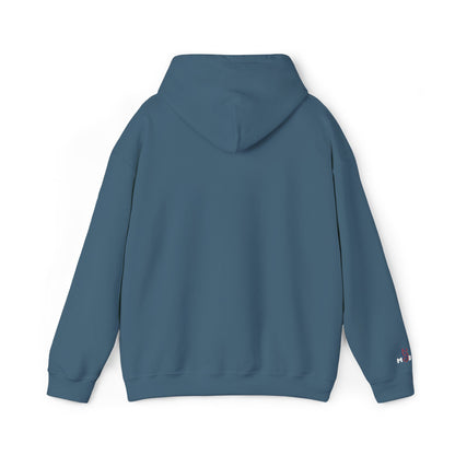 USA embroidered hoodie - MOD 250