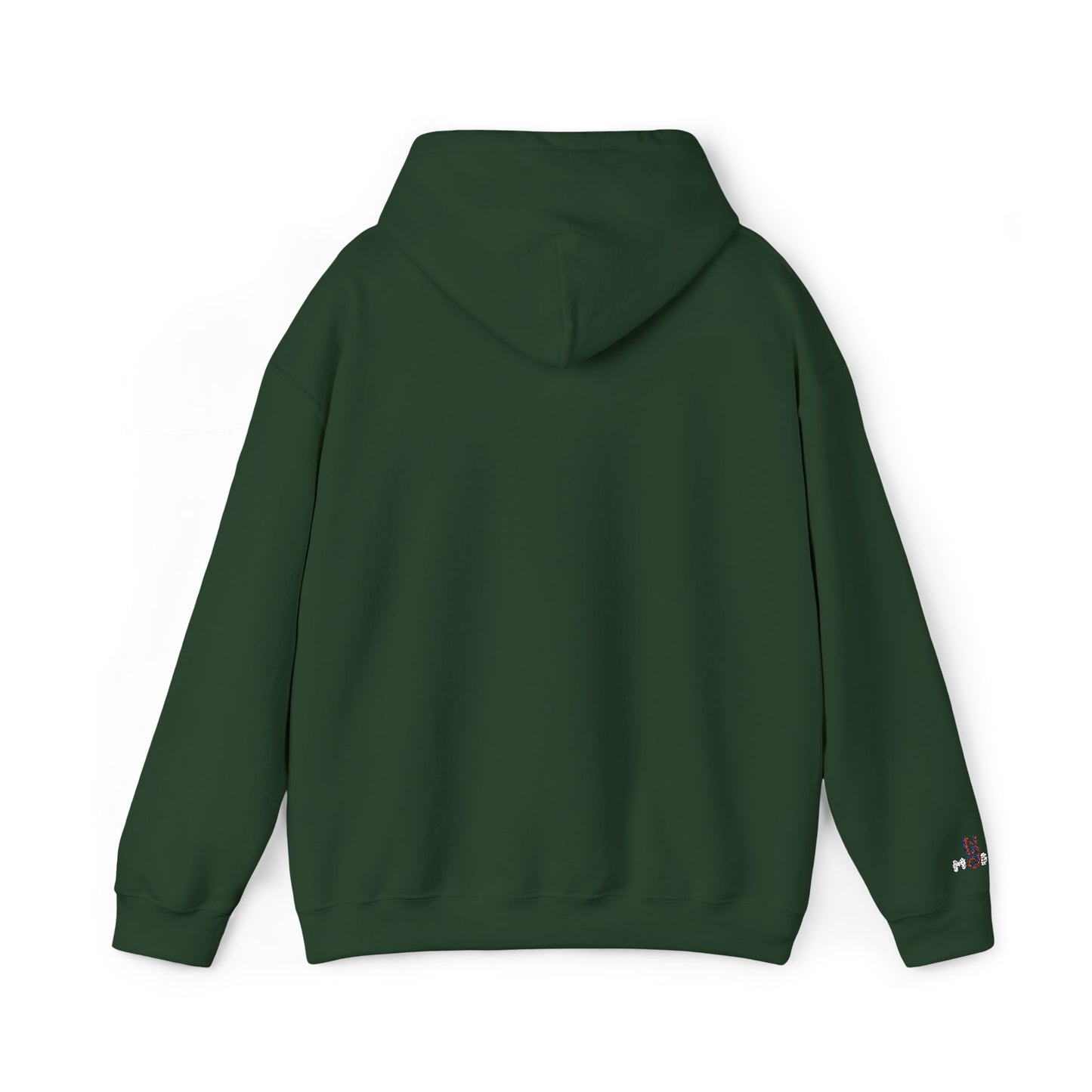 USA embroidered hoodie - MOD 250