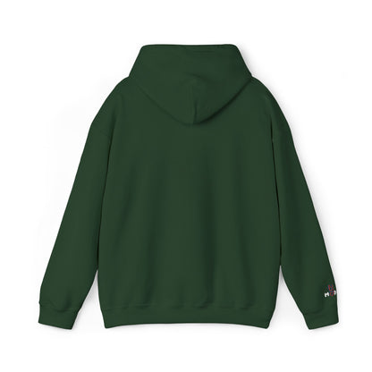 USA embroidered hoodie - MOD 250