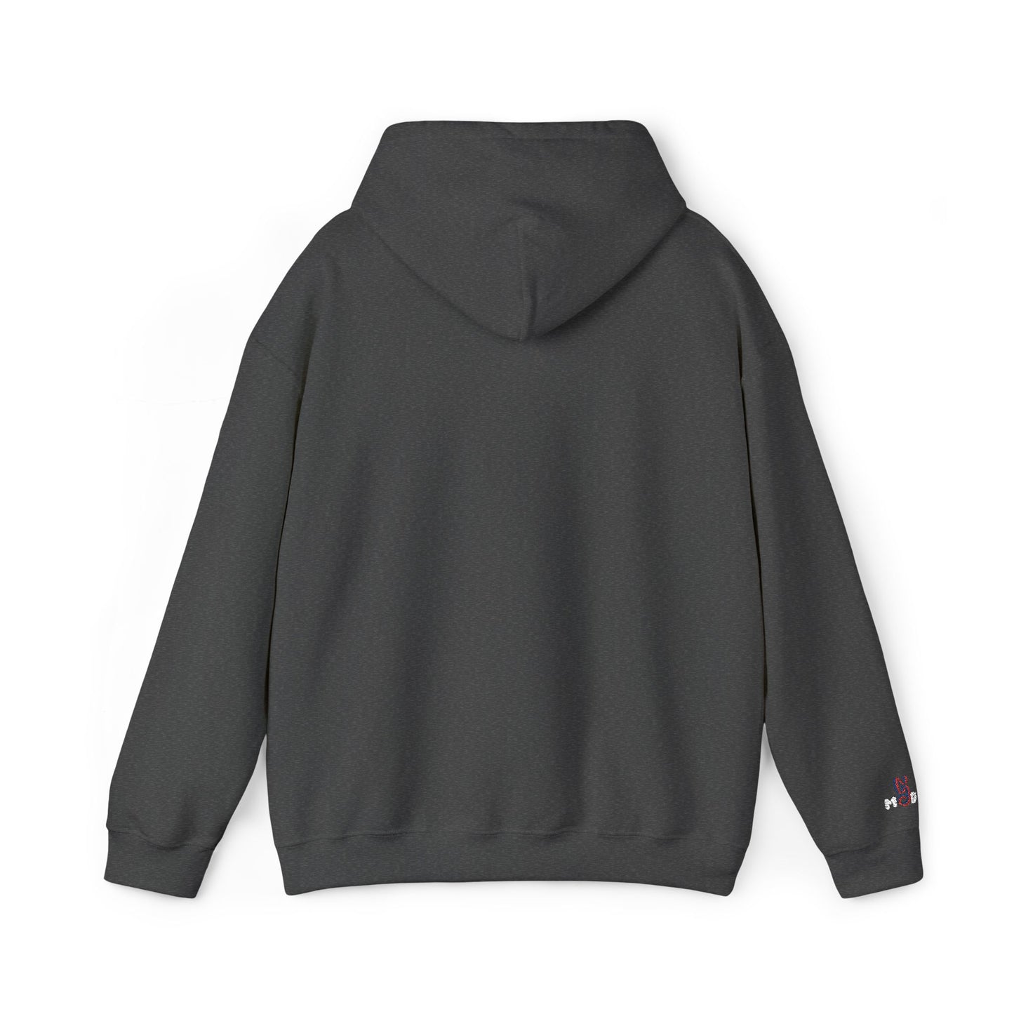 USA embroidered hoodie - MOD 250