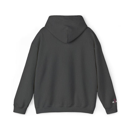 USA embroidered hoodie - MOD 250