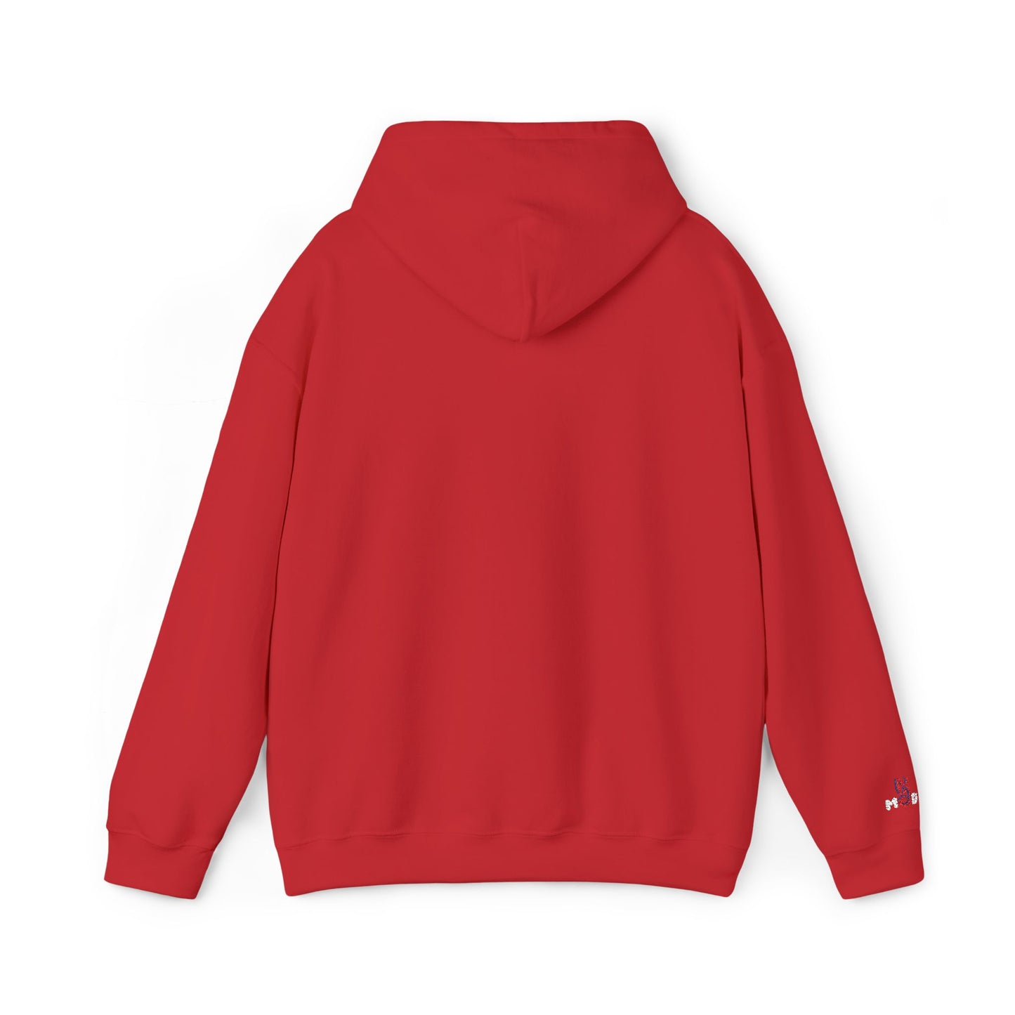 USA embroidered hoodie - MOD 250