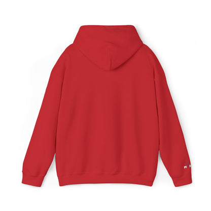 USA embroidered hoodie - MOD 250