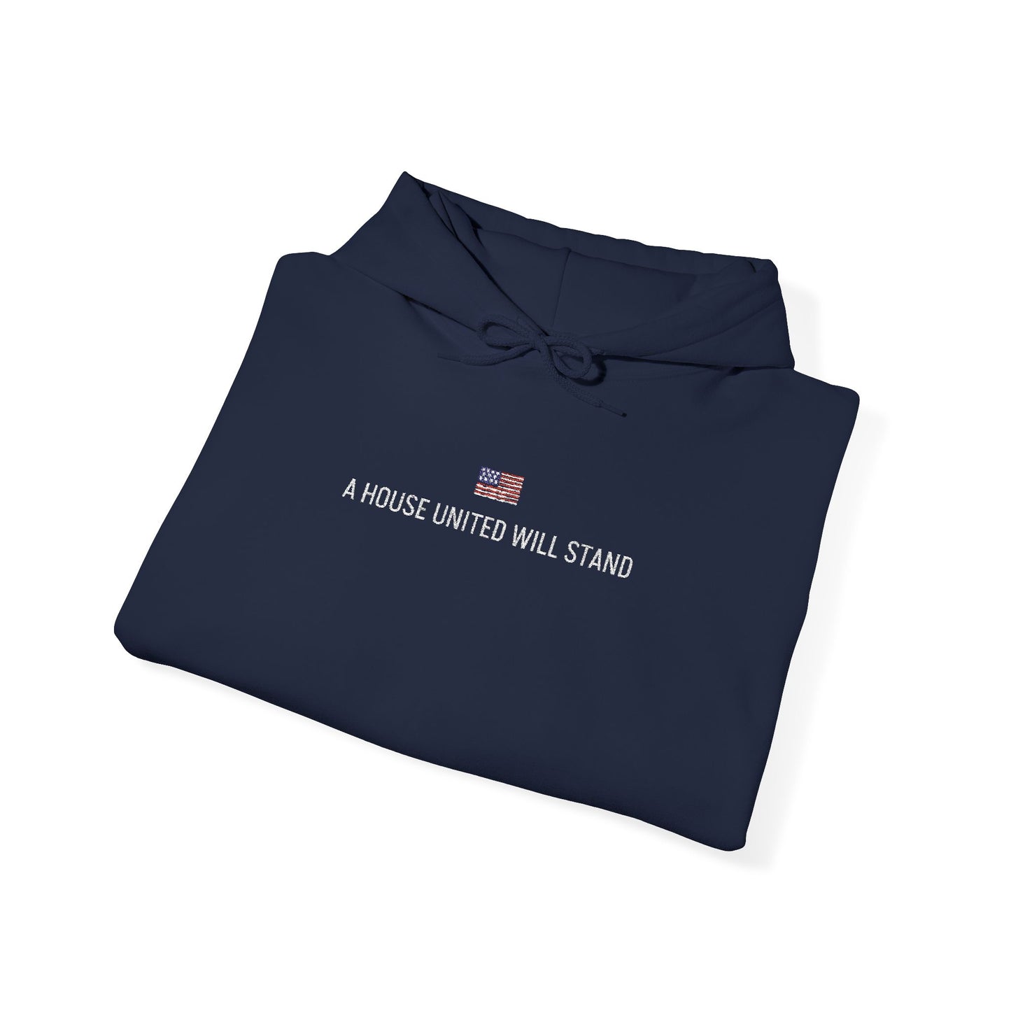 USA embroidered hoodie - MOD 250