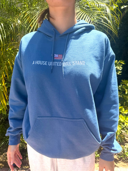 USA embroidered hoodie - MOD 250