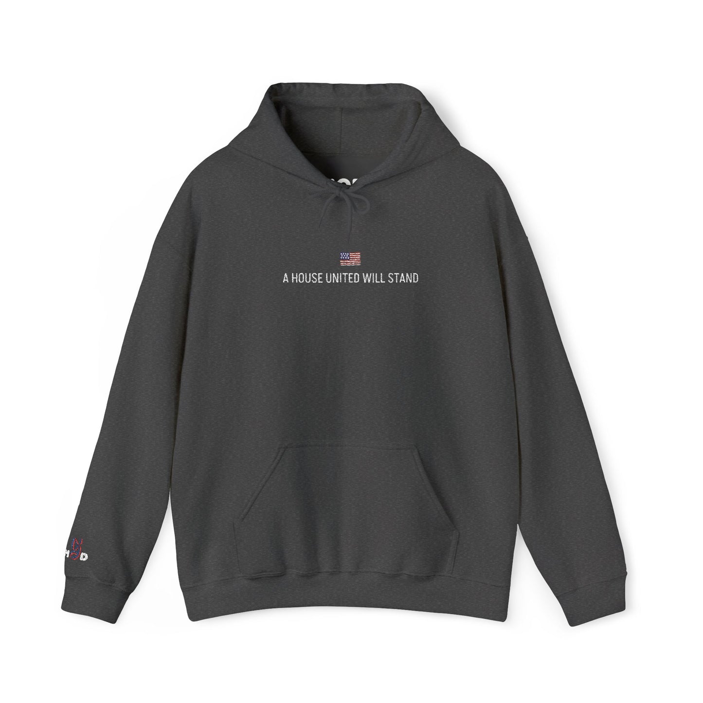USA embroidered hoodie - MOD 250