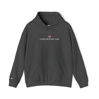 USA embroidered hoodie - MOD 250