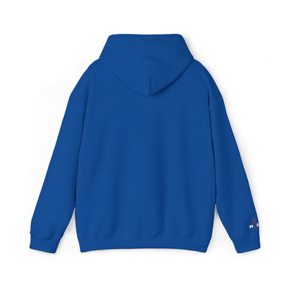 USA embroidered hoodie - MOD 250