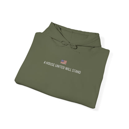 USA embroidered hoodie - MOD 250