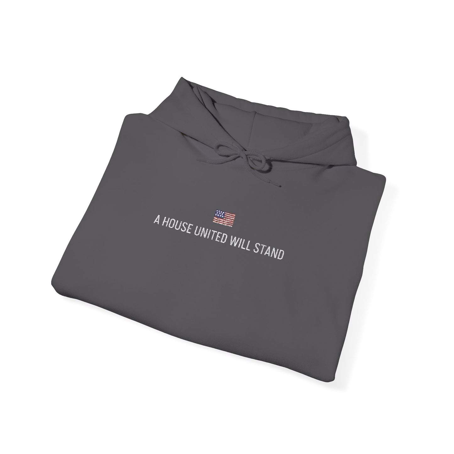 USA embroidered hoodie - MOD 250