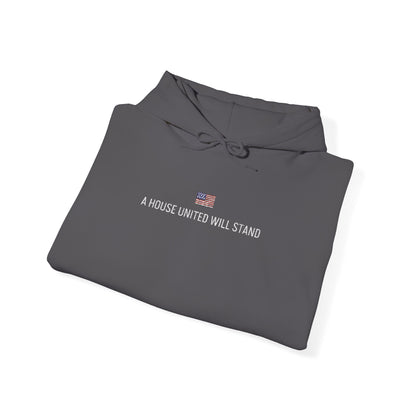 USA embroidered hoodie - MOD 250