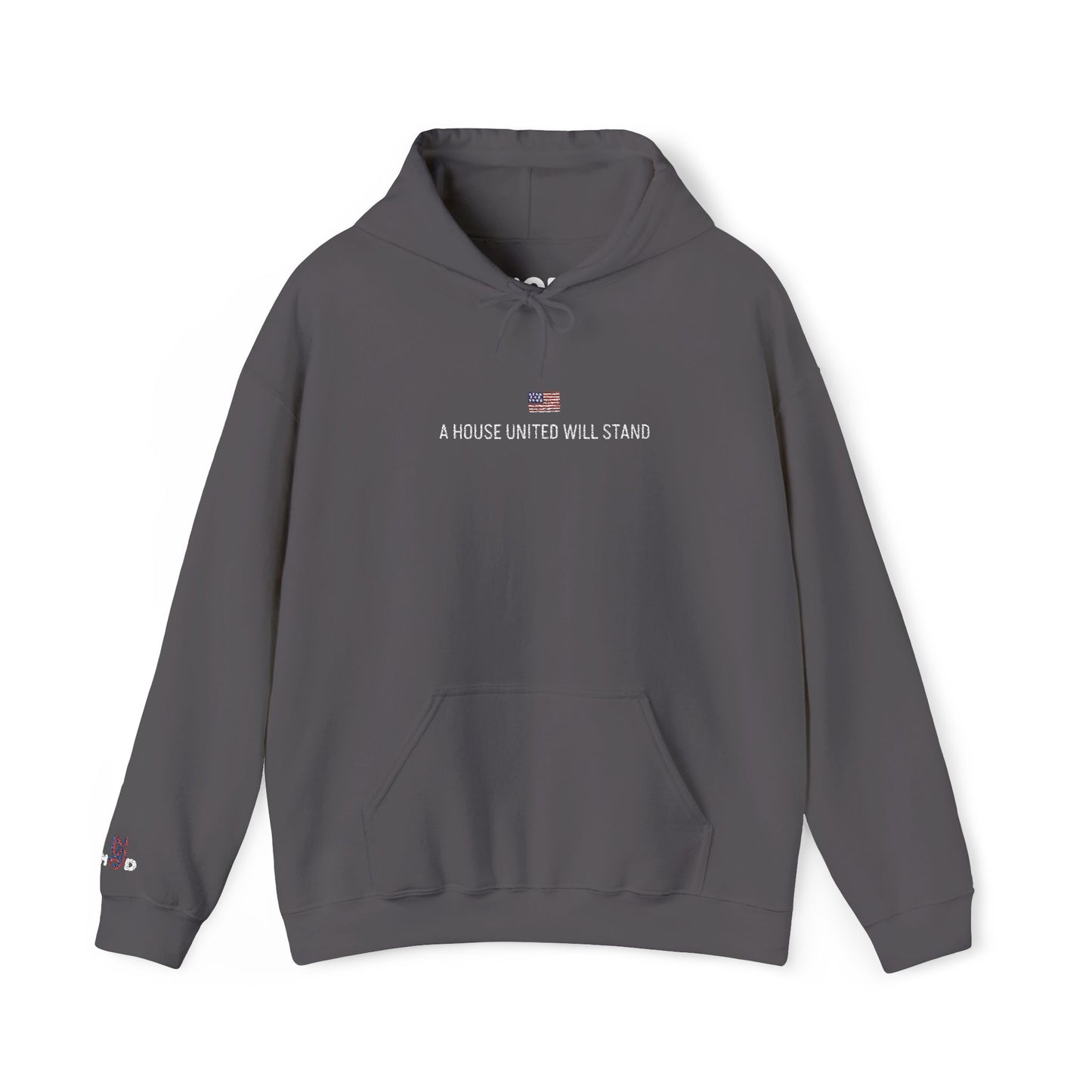 USA embroidered hoodie - MOD 250