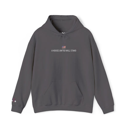 USA embroidered hoodie - MOD 250