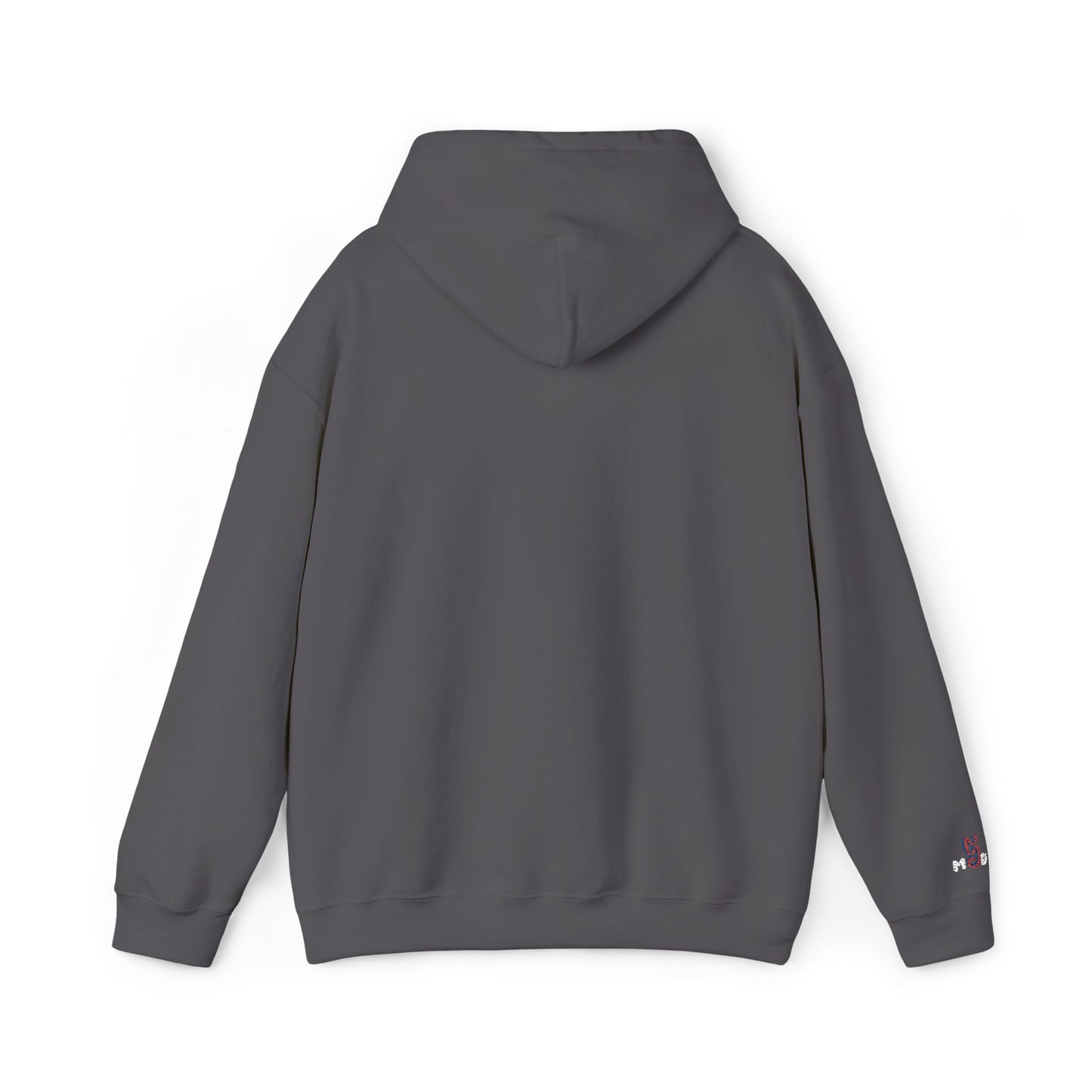 USA embroidered hoodie - MOD 250