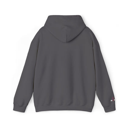 USA embroidered hoodie - MOD 250
