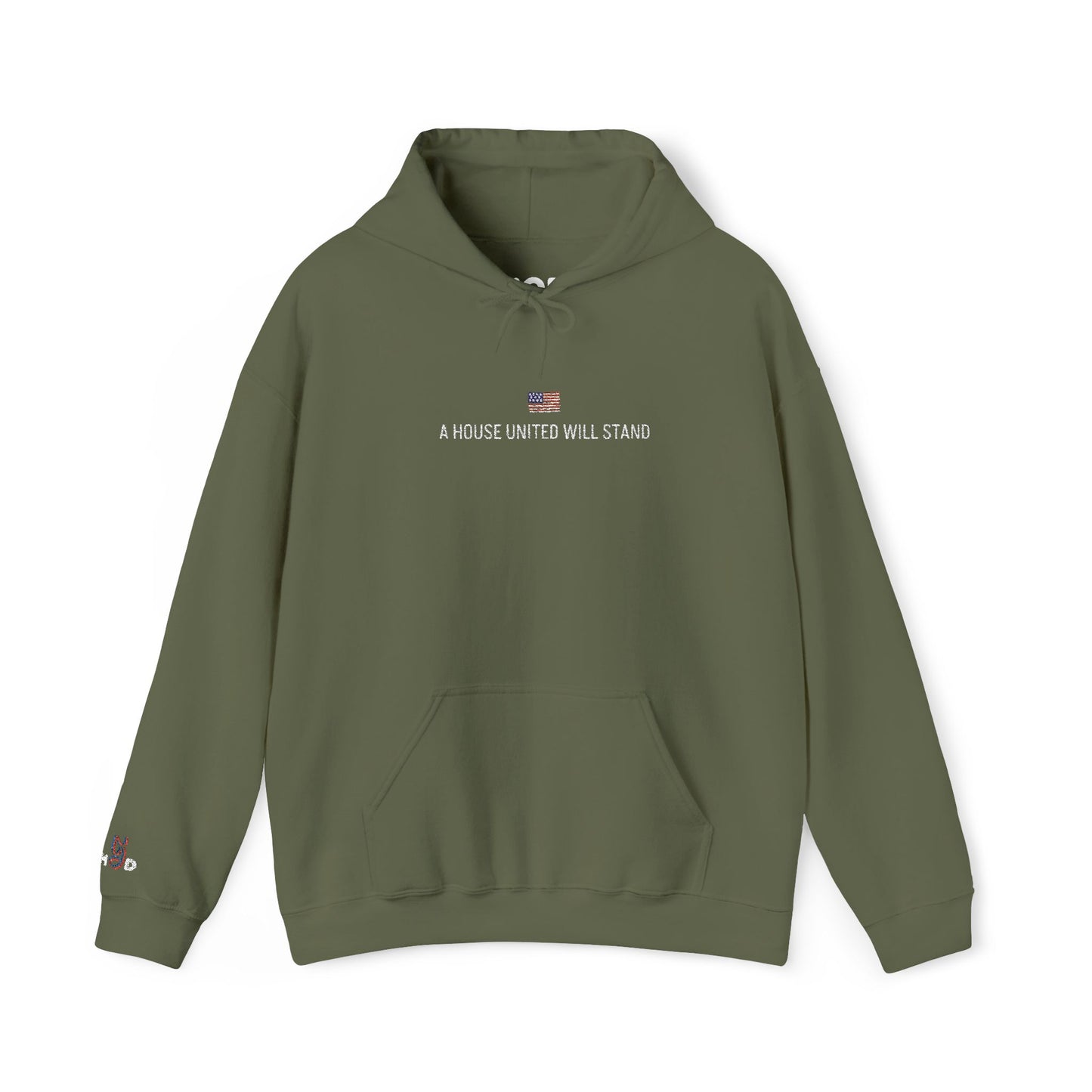 USA embroidered hoodie - MOD 250