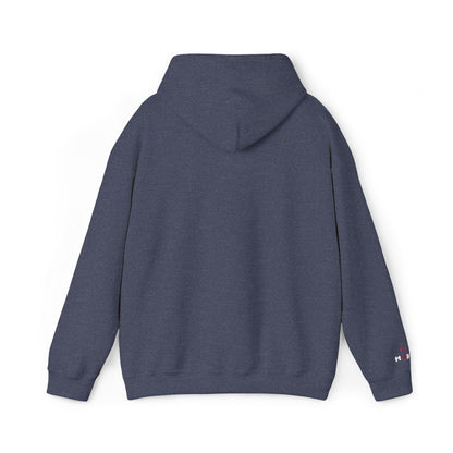 USA embroidered hoodie - MOD 250