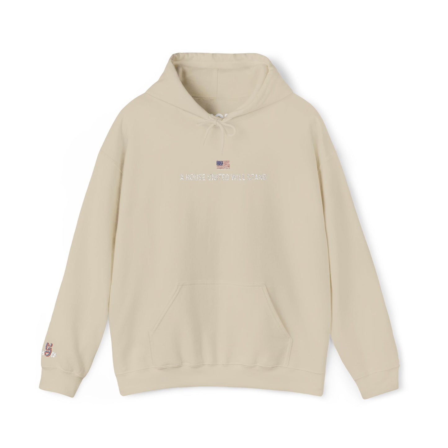 USA embroidered hoodie - MOD 250
